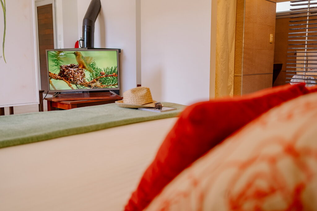 Altue Mar de las Pampas | Aparts | Studio Plus