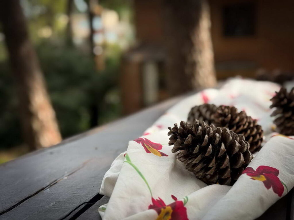 Altue Mar de las Pampas | El Cubil