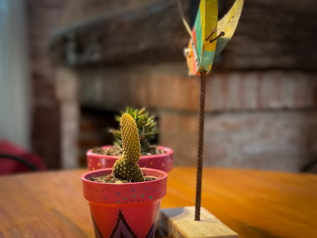 Altue Mar de las Pampas | El Cubil